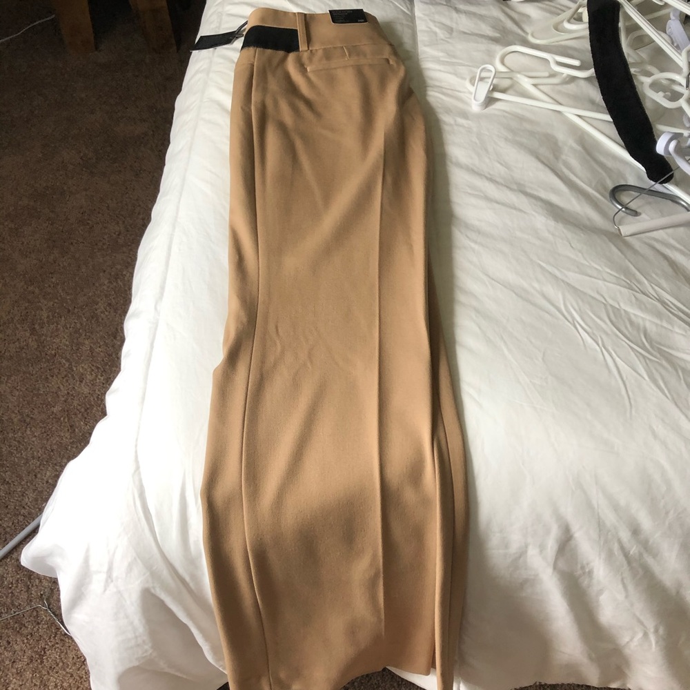 Express dress pants
